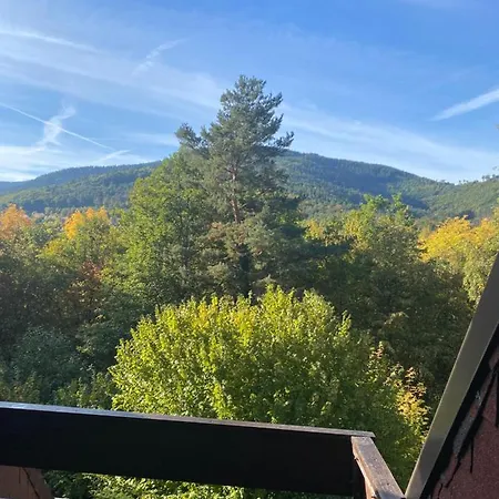 Au Nid De L'ecureuil Boersch