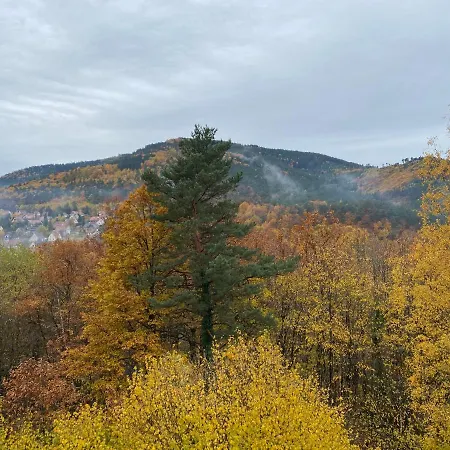 Au Nid De L’écureuil Appartamento