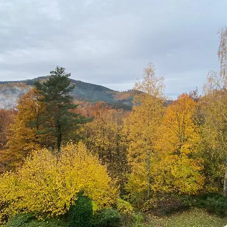 Au Nid De L’écureuil Appartamento *